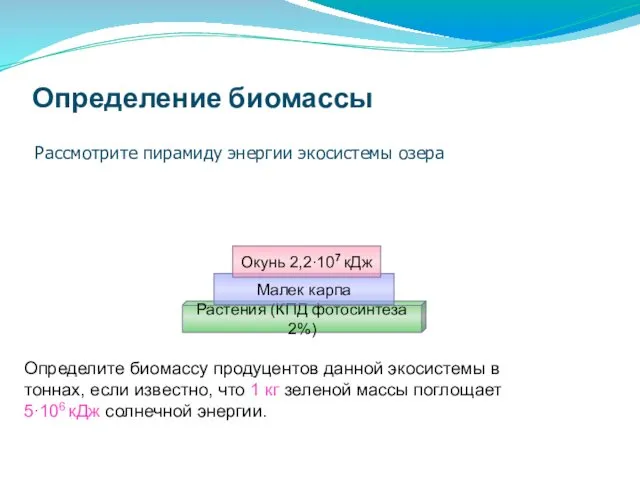 Определение биомассы