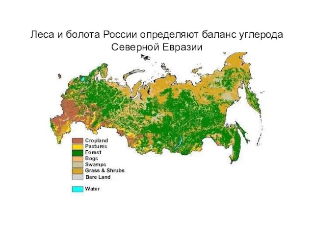 Леса и болота России определяют баланс углерода Северной Евразии