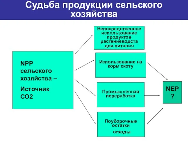 NPP сельского хозяйства – Источник СО2 Непосредственное использование продуктов растениеводста