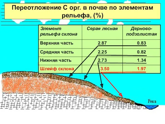 Переотложение С орг. в почве по элементам рельефа, (%)