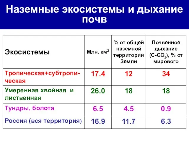 Наземные экосистемы и дыхание почв