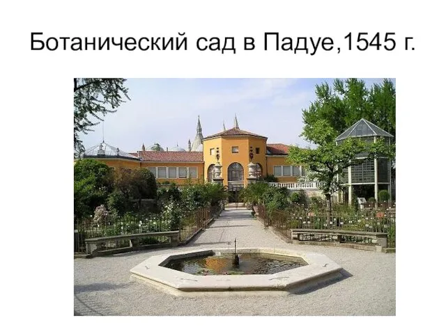 Ботанический сад в Падуе,1545 г.