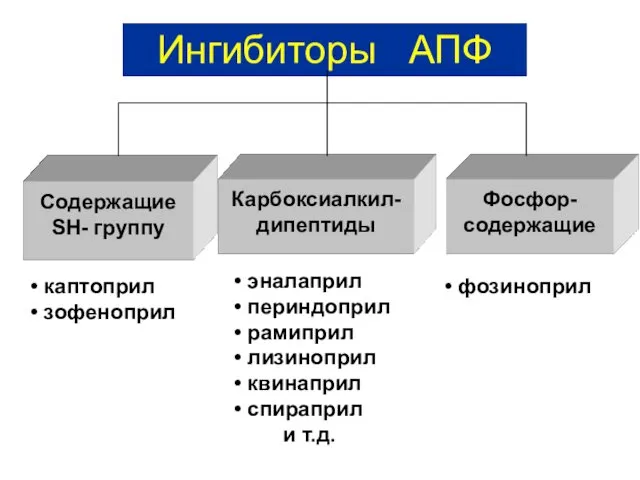 Ингибиторы АПФ каптоприл зофеноприл эналаприл периндоприл рамиприл лизиноприл квинаприл спираприл и т.д. фозиноприл