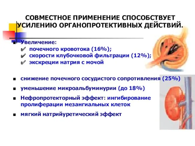 Увеличение: почечного кровотока (16%); скорости клубочковой фильтрации (12%); экскреции натрия