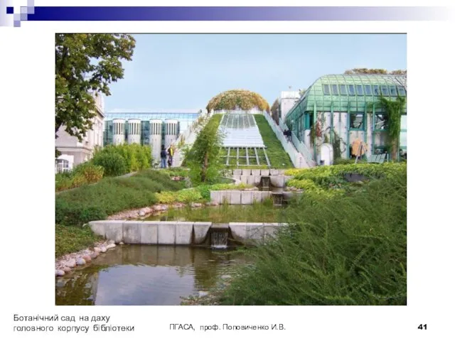 ПГАСА, проф. Поповиченко И.В. Ботанічний сад на даху головного корпусу бібліотеки