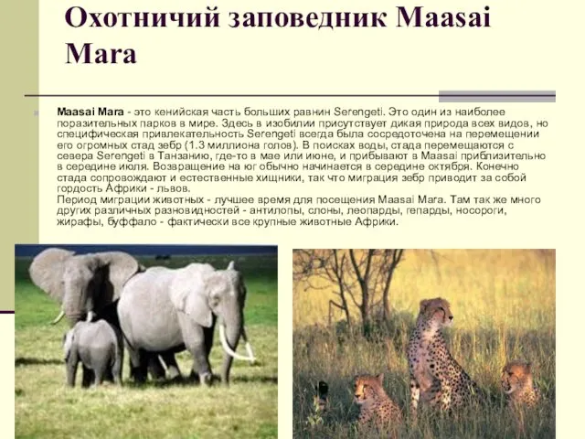 Охотничий заповедник Maasai Mara Maasai Mara - это кенийская часть