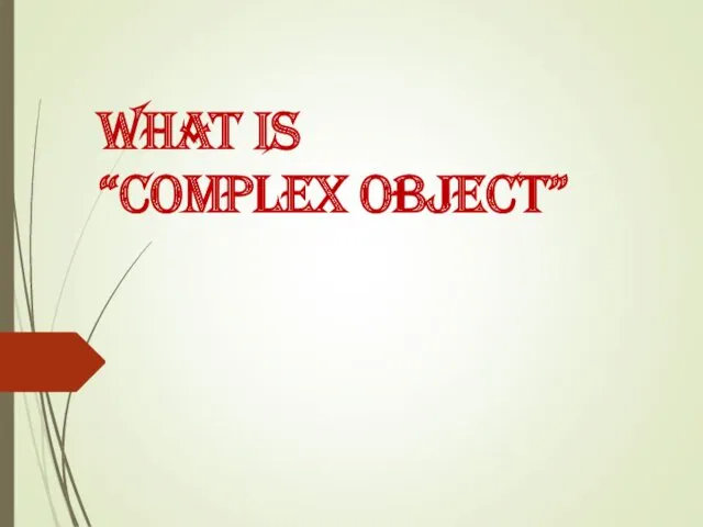 What is “Complex Object”