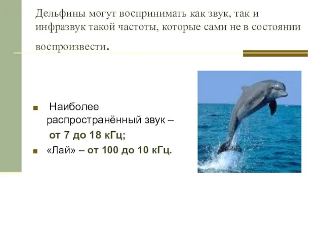 Дельфины могут воспринимать как звук, так и инфразвук такой частоты, которые сами не