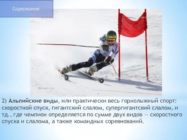 2) Альпийские виды, или практически весь горнолыжный спорт: скоростной спуск,