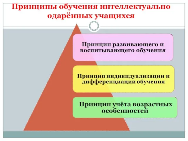 Принципы обучения интеллектуально одарённых учащихся