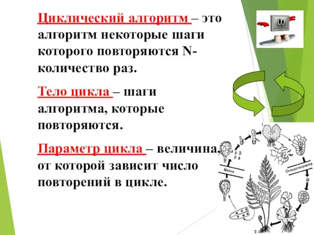 Циклический алгоритм – это алгоритм некоторые шаги которого повторяются N-количество