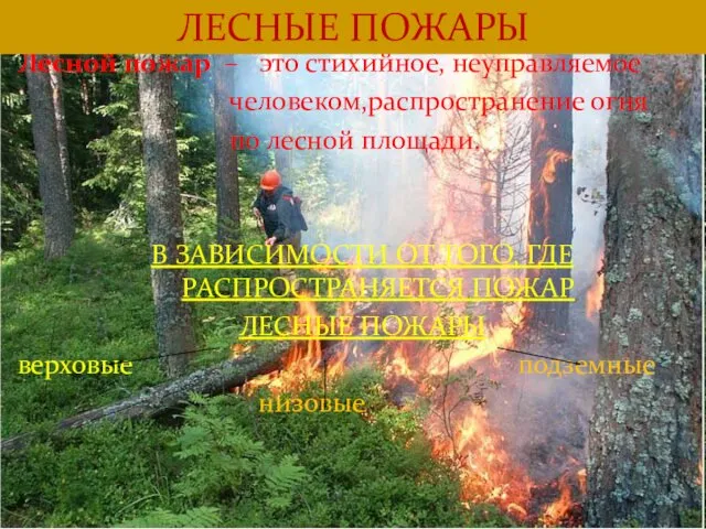Лесной пожар – это стихийное, неуправляемое человеком,распространение огня по лесной площади. В ЗАВИСИМОСТИ