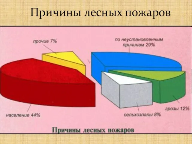 Причины лесных пожаров