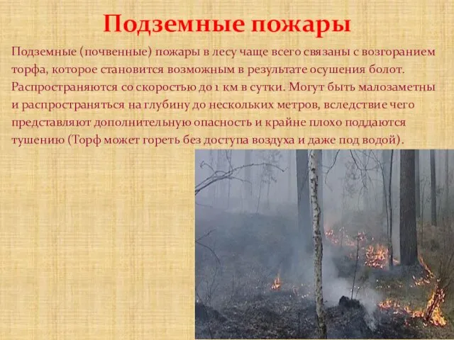 Подземные пожары Подземные (почвенные) пожары в лесу чаще всего связаны с возгоранием торфа,