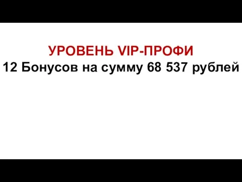УРОВЕНЬ VIP-ПРОФИ 12 Бонусов на сумму 68 537 рублей