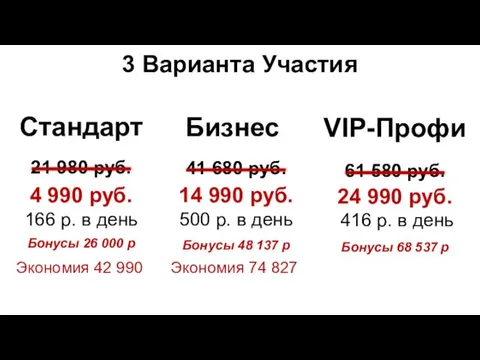 Стандарт 3 Варианта Участия Бизнес VIP-Профи 24 990 руб. 416