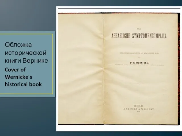 Обложка исторической книги Вернике Cover of Wernicke's historical book