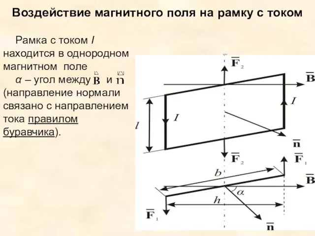 Воздействие магнитного поля на рамку с током Рамка с током