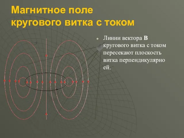 Магнитное поле кругового витка с током Линии вектора B кругового