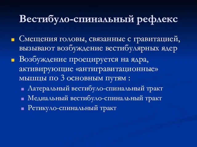 Вестибуло-спинальный рефлекс Смещения головы, связанные с гравитацией, вызывают возбуждение вестибулярных ядер Возбуждение проецируется