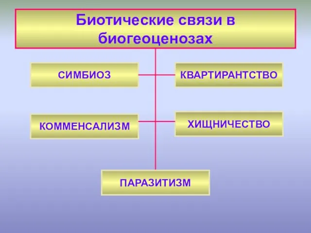 Биотические связи в биогеоценозах СИМБИОЗ КОММЕНСАЛИЗМ ХИЩНИЧЕСТВО ПАРАЗИТИЗМ КВАРТИРАНТСТВО