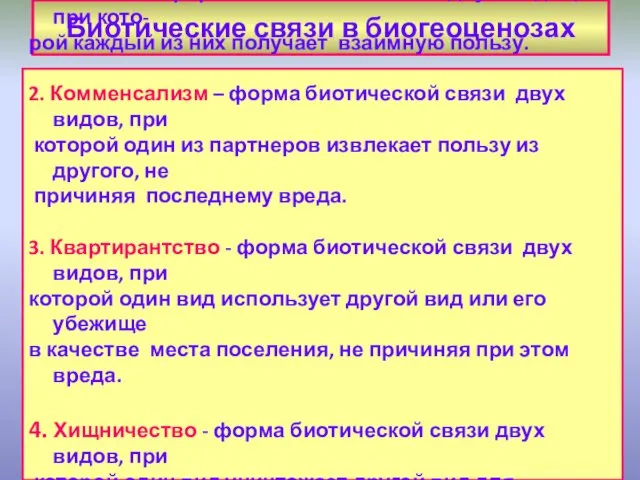 Биотические связи в биогеоценозах Симбиоз – форма биотической связи двух