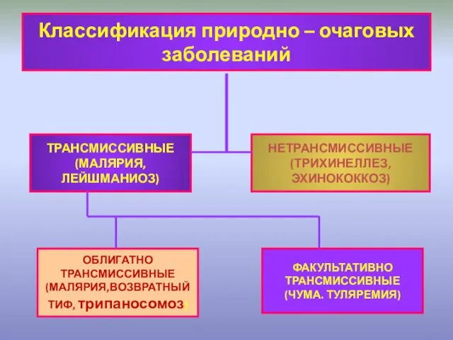 Классификация природно – очаговых заболеваний ТРАНСМИССИВНЫЕ (МАЛЯРИЯ, ЛЕЙШМАНИОЗ) ОБЛИГАТНО ТРАНСМИССИВНЫЕ