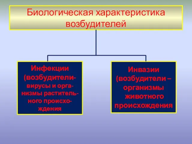 Биологическая характеристика возбудителей Инфекции (возбудители- вирусы и орга- низмы раститель-