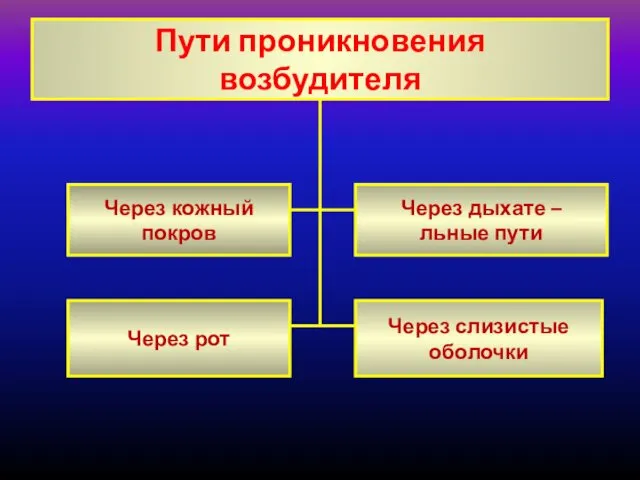 Пути проникновения возбудителя Через кожный покров Через рот Через слизистые оболочки Через дыхате – льные пути