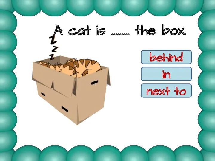 A cat is ……… the box. behind in next to in