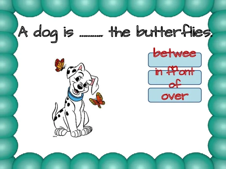 A dog is ……….. the butterflies. between in front of over between