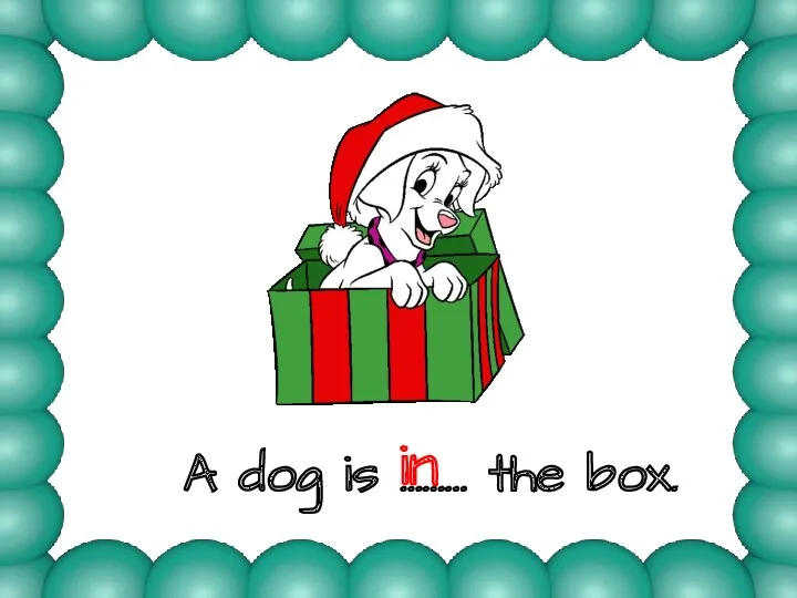 A dog is ……… the box. in