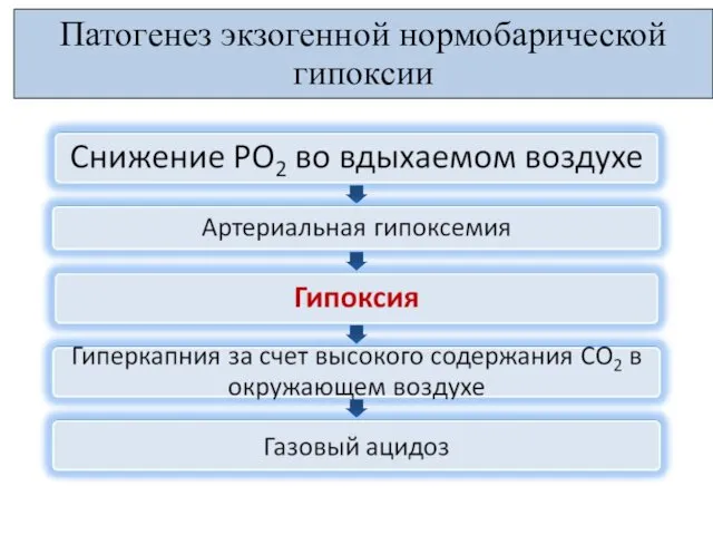 Патогенез экзогенной нормобарической гипоксии