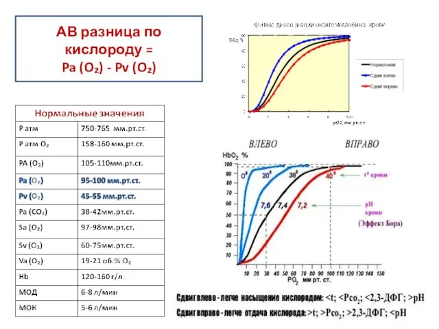 АВ разница по кислороду = Pa (O₂) - Pv (O₂)