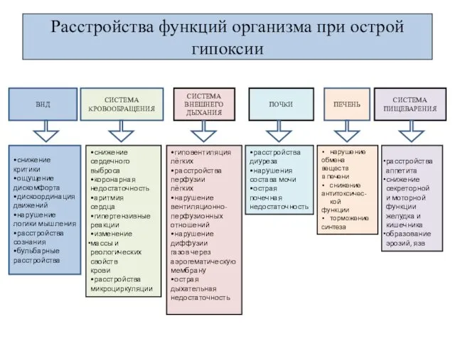 Расстройства функций организма при острой гипоксии ПОЧКИ ПЕЧЕНЬ СИСТЕМА ПИЩЕВАРЕНИЯ