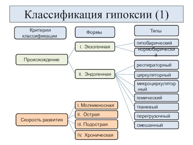 Классификация гипоксии (1) Скорость развития гемический циркуляторный респираторный II. Эндогенная