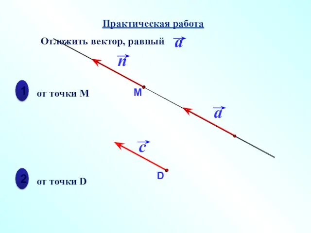 1 2 от точки М от точки D Практическая работа