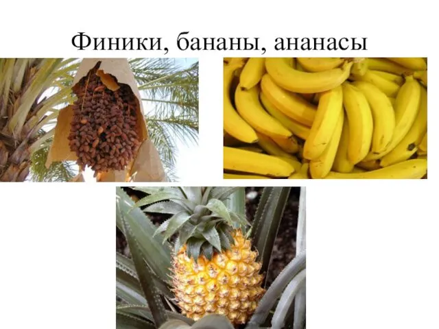 Финики, бананы, ананасы