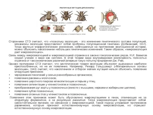 Сторонники СТЭ считают, что «поскольку эволюция – это изменение генетического