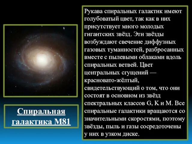 Спиральная галактика M81 Рукава спиральных галактик имеют голубоватый цвет, так