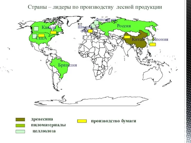 Страны – лидеры по производству лесной продукции древесина