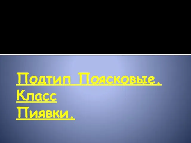 Подтип Поясковые. Класс Пиявки.