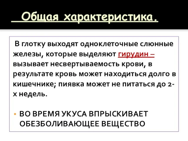 Общая характеристика. В глотку выходят одноклеточные слюнные железы, которые выделяют