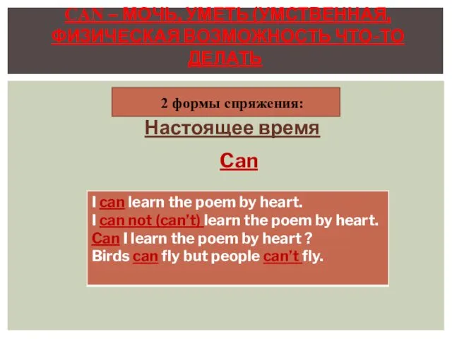 2 формы спряжения: Настоящее время Can CAN – МОЧЬ, УМЕТЬ (УМСТВЕННАЯ, ФИЗИЧЕСКАЯ ВОЗМОЖНОСТЬ ЧТО-ТО ДЕЛАТЬ)