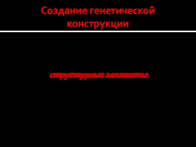 Создание генетической конструкции Полученный тем или иным способом ген содер-жит