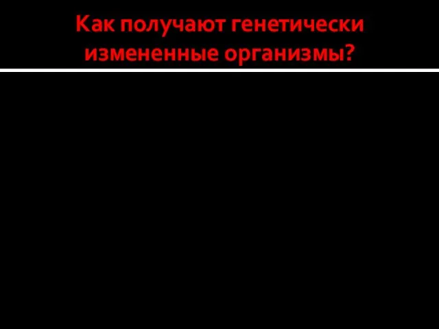 Как получают генетически измененные организмы? Смысл генно-инженерных манипуляций состоит в