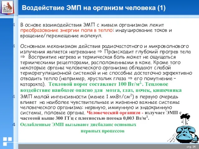 Воздействие ЭМП на организм человека (1) В основе взаимодействия ЭМП