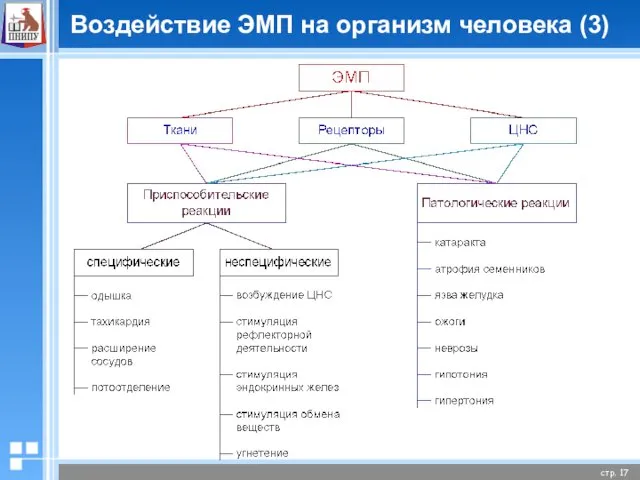 Воздействие ЭМП на организм человека (3)