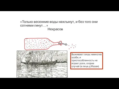 «Только весенние воды нахлынут, и без того они сотнями гинут…»