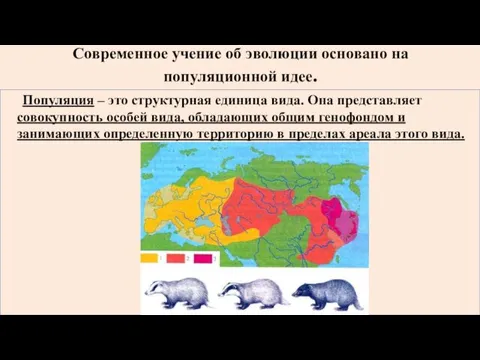 Современное учение об эволюции основано на популяционной идее. Популяция –